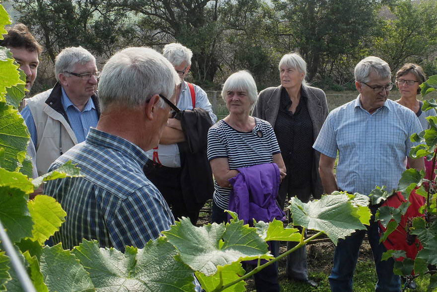 Markvandring ved Dansk Vindag 2014 i Røjle, Langeland.