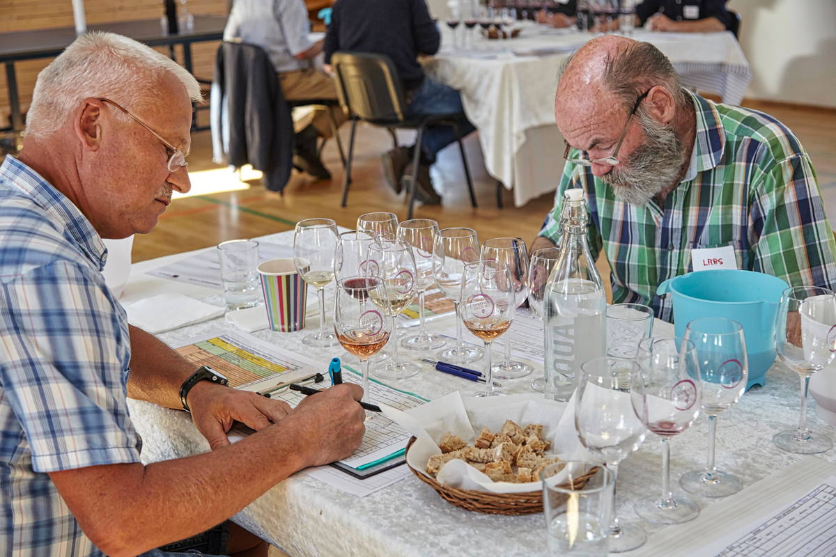 Et dommerbord ved vinbedømmelsen på Dyrehøj Vingaard. Foto Børge Klamer.