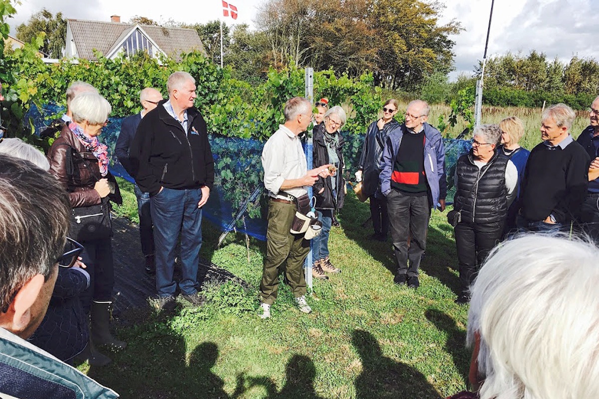 Sindbjerg Aaben Vingaard 2018
